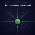 Les figures de la direction pédagogique (1/4) : Le coordinateur opérationnel